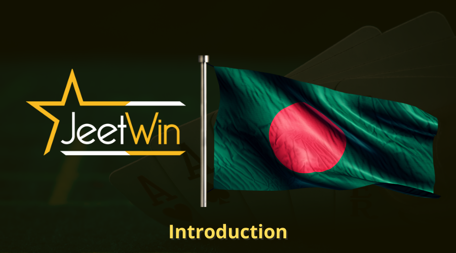 আমি কিভাবে আমার JeeTwin প্রবাহ রেকর্ড দেখতে পারি?